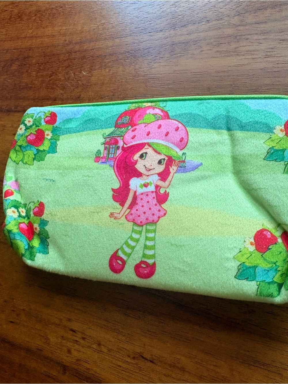 Strawberry shortcake pencil/makeup case